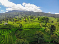 Jakarta, Bandung Volcano Day Tour - Hizvo