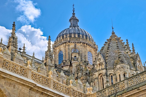 Salamanca: Private Walking Tour with a Local Guide 2 Hours Walking Tour
