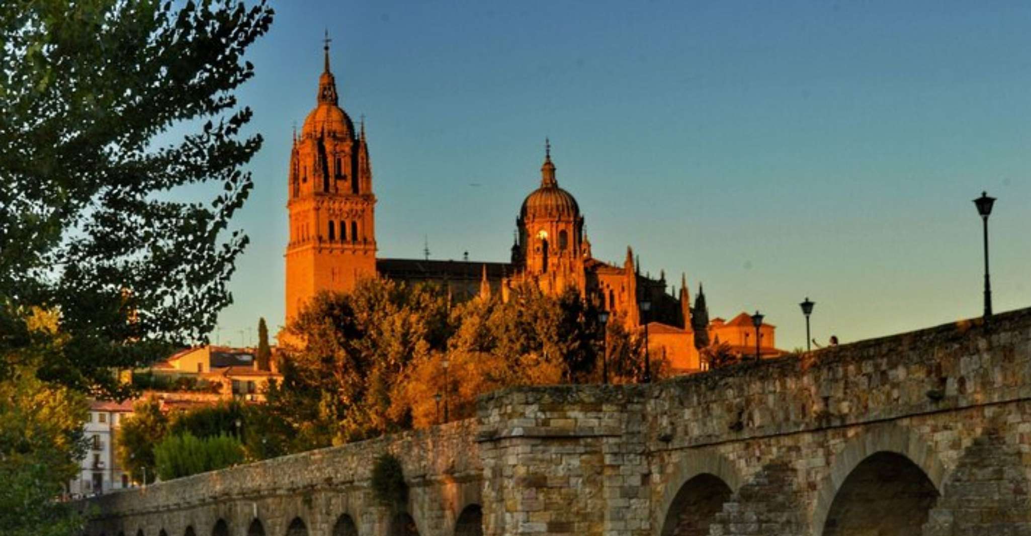 Salamanca, Private Walking Tour with a Local Guide - Housity