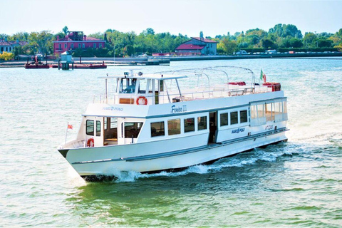 From Punta Sabbioni fast Cruise to Venice and Return