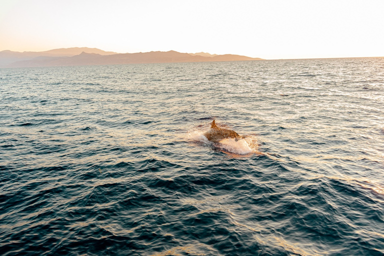 Private Sailing Trip from Heraklion to Dia island Private Half Day Sailing Trip from Heraklion to Dia island
