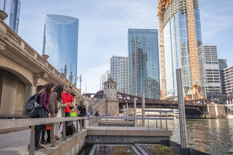 Best of Chicago: Architecture & Highlights City Private Tour Chicago City Walking Tour