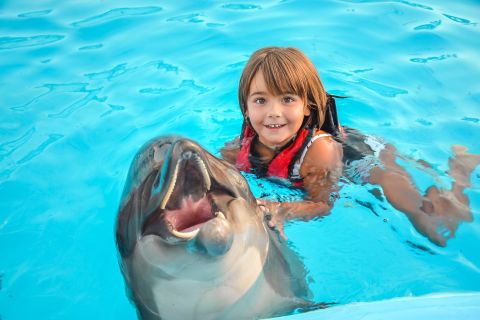 Hurghada: sessione fotografica del Dolphin World con ritiro