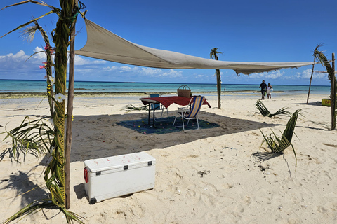 Zanzíbar: tour a la isla prisión con almuerzo en el banco de arenaZanzíbar: tour a la isla prisión con almuerzo y traslado al hotel