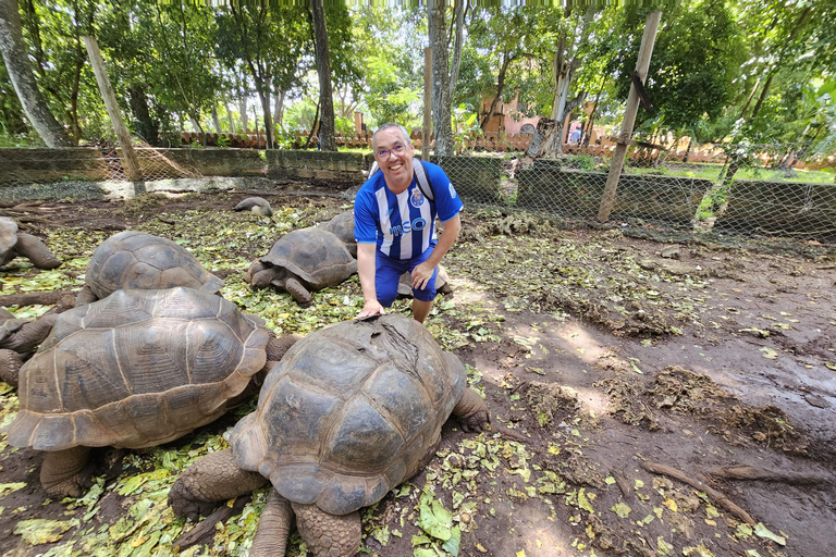 Zanzibar: Prison Island Tour with Lunch on the Sandbank Zanzibar: Prison Island Tour with Lunch and Hotel Transfer