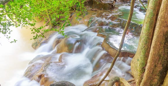 Krabi: Klongtom Hot Spring, Emerald Pool and Tiger Cave Tour