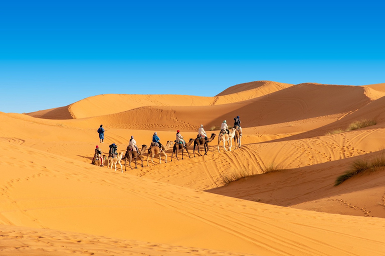 Depuis Marrakech : 4 jours dans le désert de Merzouga avec hôtels de luxe