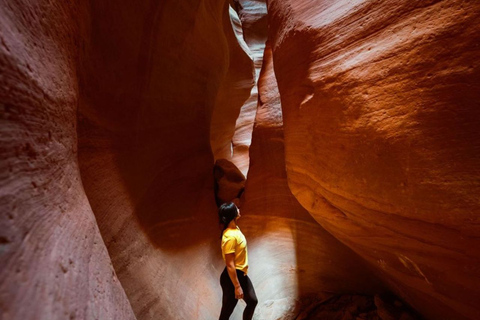 Orderville: East Zion UTV Ride and Red Rock Slot Canyon Hike
