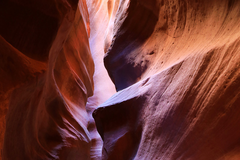 Orderville: East Zion UTV Ride and Red Rock Slot Canyon Hike
