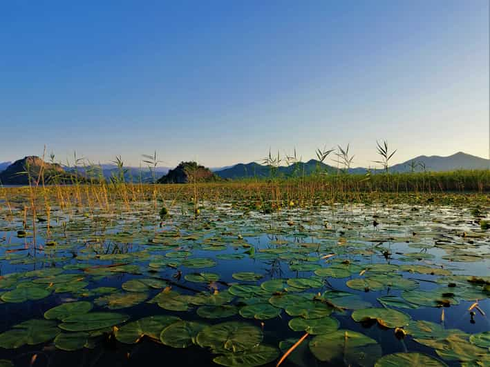 Virpazar Bootsfahrt Auf Dem Skadar See Bei Sonnenuntergang Mit