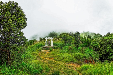 De Da Nang: Trekking au parc national Bach MaVisite privée