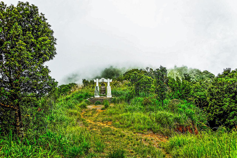 Od Da Nang: Trekking po parku narodowym Bach MaPrywatna wycieczka