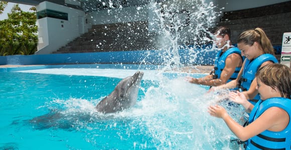 Cancun: Interactive Aquarium - Swim with dolphins Premium