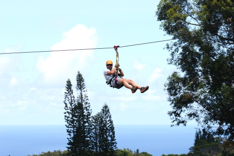 Maui : 7 tyroliennes et musée de la seconde guerre mondialeMaui : aventure tyrolienne dans les arbres