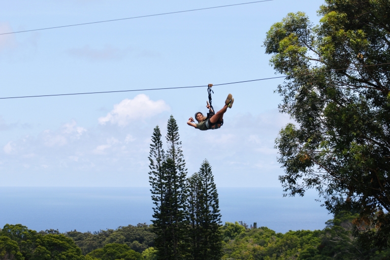 Maui: 7 Zip Lines en WWII MuseumMaui: 7 Zip Lines 2 uur Tree Canopy Adventure