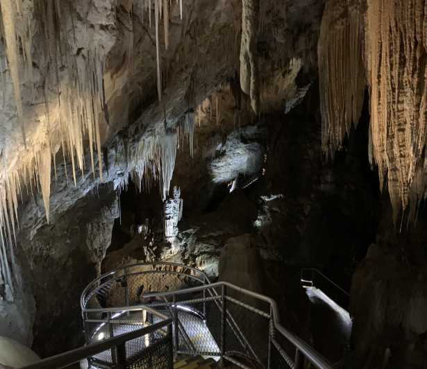 Hobart: Hastings Caves, Tahune Airwalk, and Huon Valley Tour