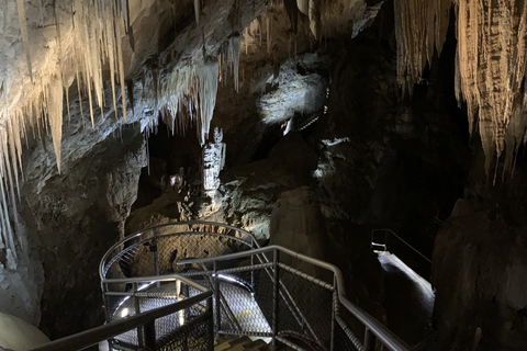 Hobart : Grottes de Hastings, promenade aérienne de Tahune et visite de la vallée de Huon