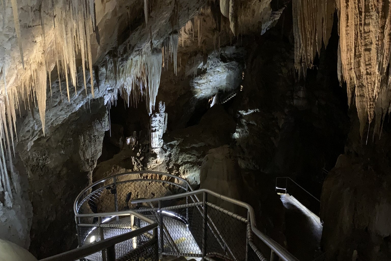 Hobart: Grotten van Hastings, Tahune Airwalk en Huon Valley TourHobart: Hastings Caves, Tahune Airwalk en Huon Valley Tour