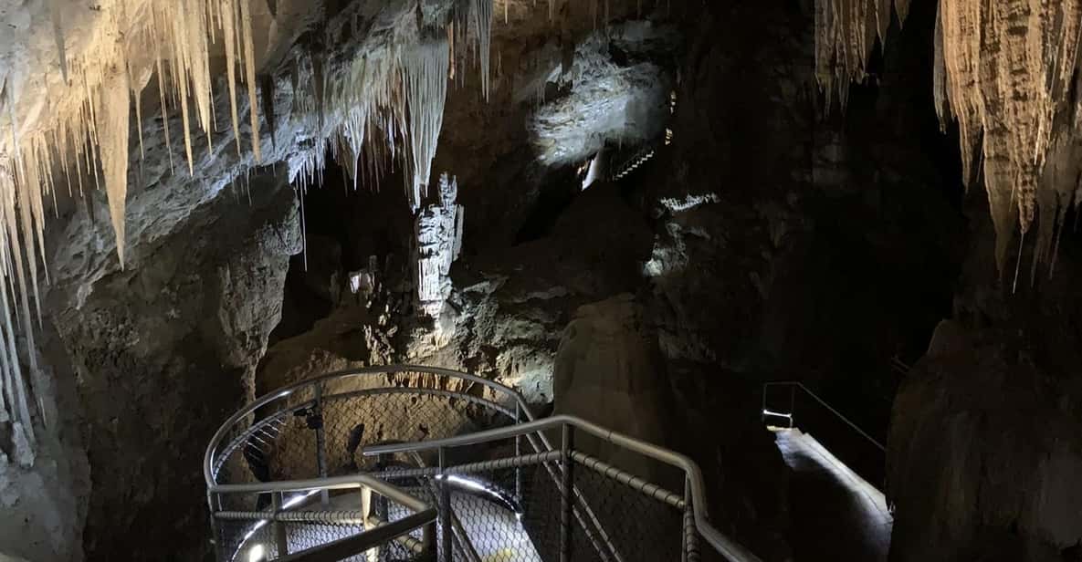 Hobart Hastings Caves, Tahune Airwalk e Huon Valley Tour GetYourGuide