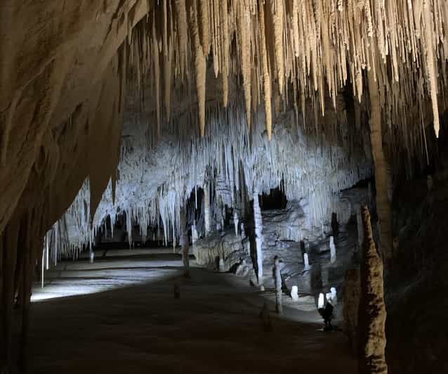 Hobart Hastings Caves, Tahune Airwalk en Huon Valley Tour GetYourGuide