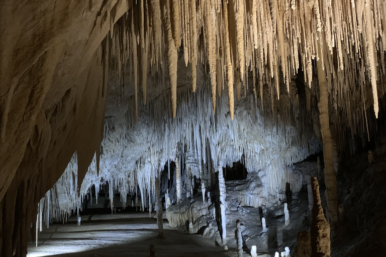 Hobart: Grotte di Hastings, Passeggiata aerea di Tahune e Tour della Valle di HuonHobart: grotte di Hastings, Tahune Airwalk e tour della valle di Huon