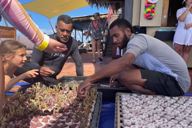 Fidji : Excursion d'une journée au Seventh Heaven Floating Bar & RestaurantFidji : Excursion d'une journée au ponton flottant Seventh Heaven avec bar