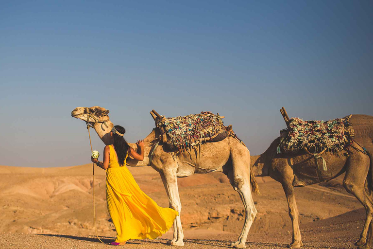 Viagem diurna às montanhas do Atlas e aos três vales com passeio de cameloMarrakech: visite as aldeias berberes e as cachoeiras de Imlil