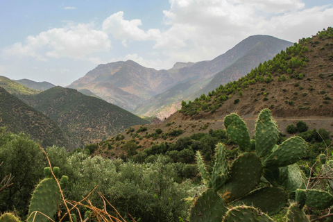 Marrakech : Visitez les villages berbères et les chutes d'eau d'Imlil