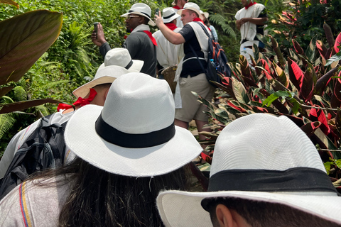 Tour del café en las hermosas montañas de Medellín