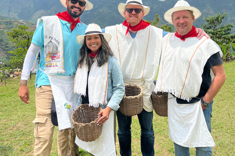 Tour del café en las hermosas montañas de Medellín