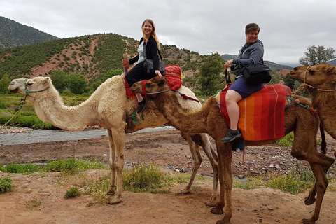 Viagem diurna às montanhas do Atlas e aos três vales com passeio de cameloMarrakech: visite as aldeias berberes e as cachoeiras de Imlil