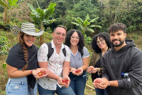 Tour del café en las hermosas montañas de Medellín