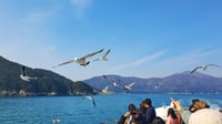 From Busan, Enchanting Oedo Botania Day Tour with Wind Hill - Housity