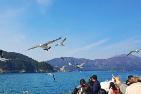 From Busan: Day Trip to Oedo Island or Tongyeong Oedo Island: Pick-up from Seomyeon Station