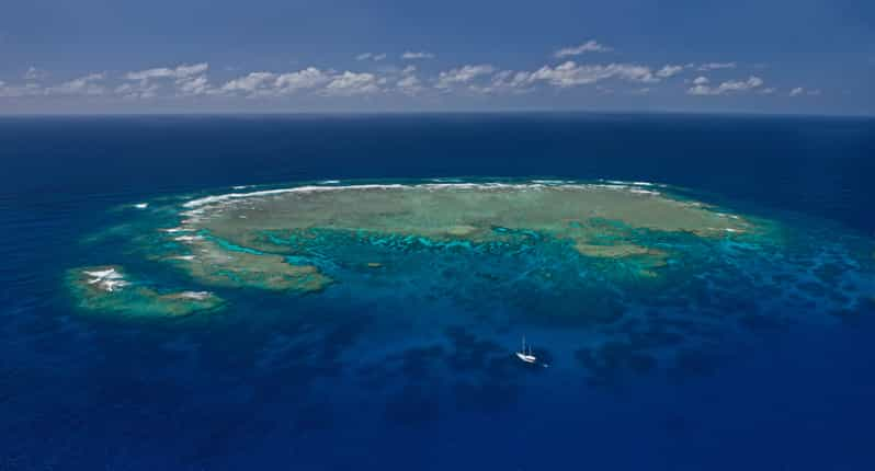 Great Barrier Reef Snorkel Whitehaven Beach Alles In Dag