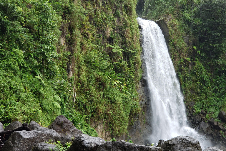 Roseau: Titou Gorge, Hot Spring, Falls & Champagne Reef Tour