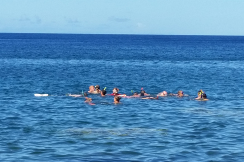 Roseau: Titou Gorge, Hot Spring, Falls & Champagne Reef Tour