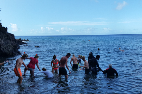 Roseau: Titou Gorge, Hot Spring, Falls & Champagne Reef Tour