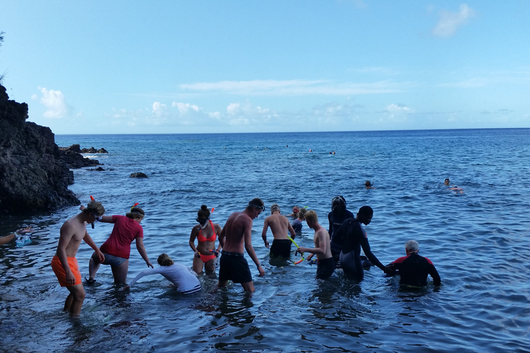 Roseau: Titou Gorge, Hot Spring, Falls & Champagne Reef Tour