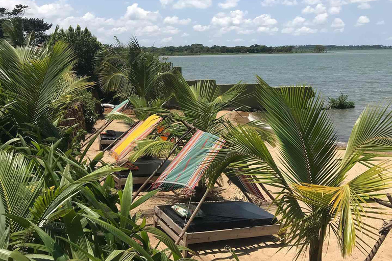 Excursión de observación de aves en Mabamba con almuerzo de 3 platos en Mabamba Lodge.