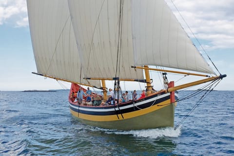 Salem: Historic Schooner Sailing Cruise