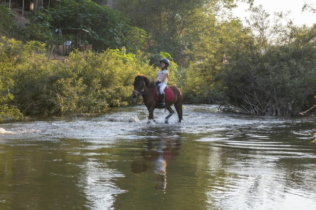 Visit Pony riding Luang Prabang in Hua Hin