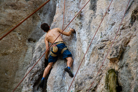 Krabi: Full-Day Rock Climbing Course at Railay Beach Hotel round-trip from/to Klong Muang & Tubkaek Beach