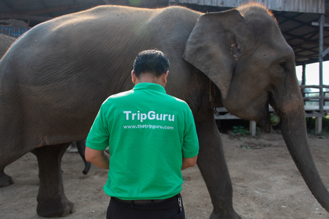 Bangkok: Elephant Sanctuary & Erawan Waterfall Tour Private Tour from Bangkok