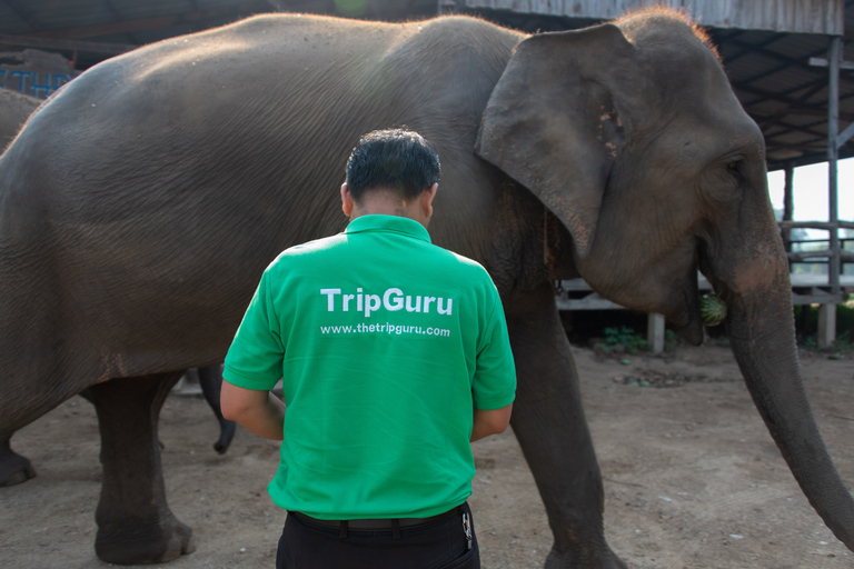 Bangkok: Elephant Sanctuary & Erawan Waterfall Tour Private Tour from Bangkok