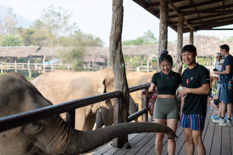 Bangkok: Elephant Sanctuary & Erawan Waterfall TourPrivétour vanuit Bangkok