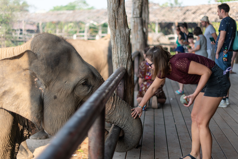 Bangkok: Elephant Sanctuary & Erawan Waterfall TourPrivétour vanuit Bangkok