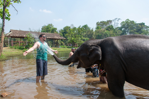 Bangkok: Elephant Sanctuary & Erawan Waterfall TourPrivétour vanuit Bangkok