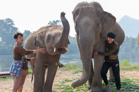 Bangkok: Elephant Sanctuary & Erawan Waterfall TourPrivétour vanuit Bangkok