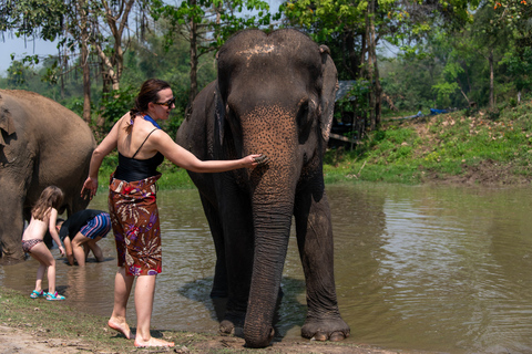 Bangkok: Elephant Sanctuary & Erawan Waterfall TourPrivétour vanuit Bangkok